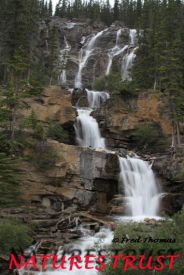 Waterfalls, Athabasca River, IceField Parkway