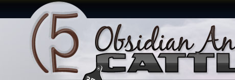 Obsidian Angus Cattle Sales Wyoming